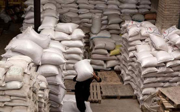توقف واردات برنج / کارخانه‌های فرآوری در آستانه تعطیلی