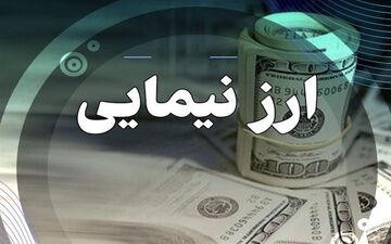 انتشار اسامی دریافت‌کنندگان ارز نیمایی/ این گروه یارانه ارزی کلان دریافت کرده‌اند 