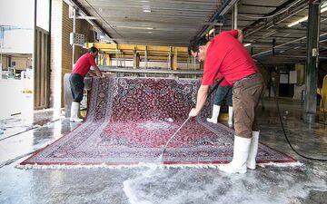 افزایش 35 درصدی نرخ قالیشویی/ ۴ هزار نفر در تهران، شاغل قالیشویی هستند