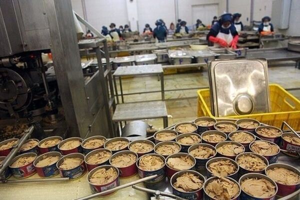 فروش ماهی تن صید داخل، 30 درصد گران‌تر از قیمت جهانی