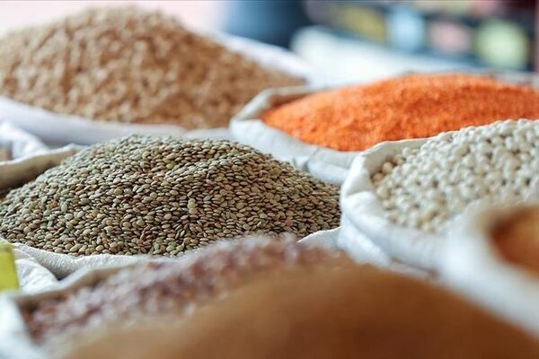 ریشه‌یابی افزایش قیمت حبوبات/ گرانی با نوروز می‌آید