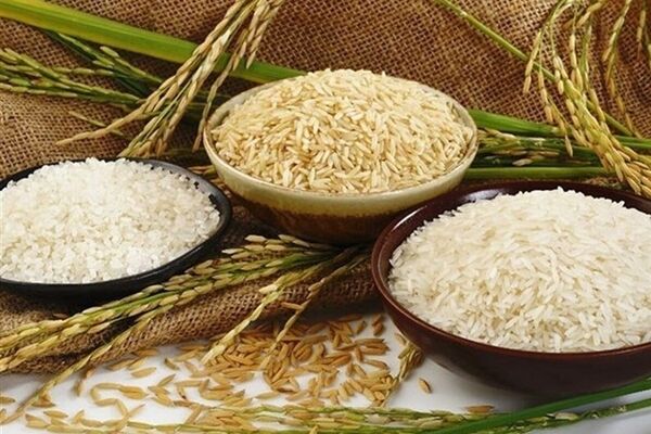 وضعیت عجیب بازار برنج/علت گرانی برنج پاکستانی چیست؟ 