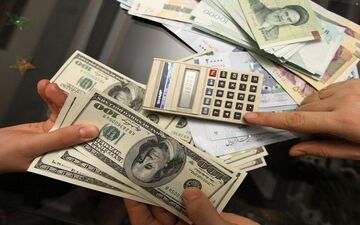 تصمیم عجیب دولت در تخصیص ارز به واردات دانه قناری!