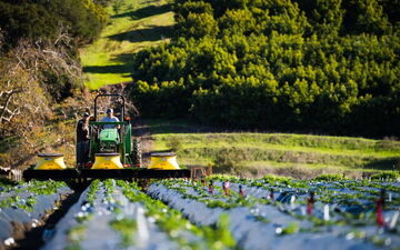 تخصیص 90 درصد تسهیلات بانک به بخش کشاورزی