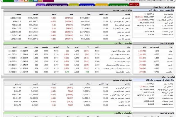 شفاف‌سازی مدیریت فناوری بورس از دلایل بروز مشکل در سایت TSETMC
