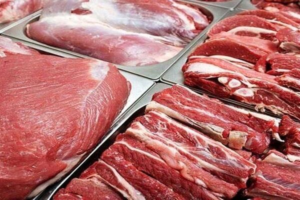 شناسایی علت نوسانات بازار گوشت/ قیمت دام زنده چه تغییری کرد؟ 