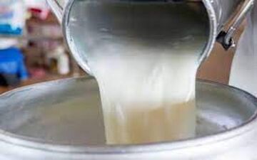 افزایش چندین باره قیمت محصولات لبنی 