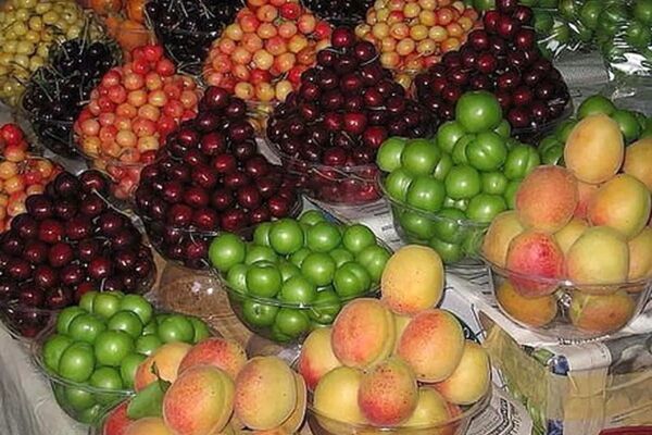 رکوردشکنی عجیب قیمت میوه‌های تابستانه/ کدام اقلام خوراکی پیشتاز تورم شدند؟