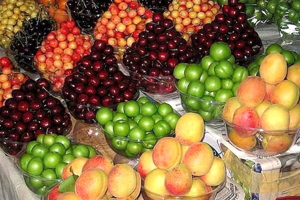 مانور میوه‌های ایرانی در بازار قطر 