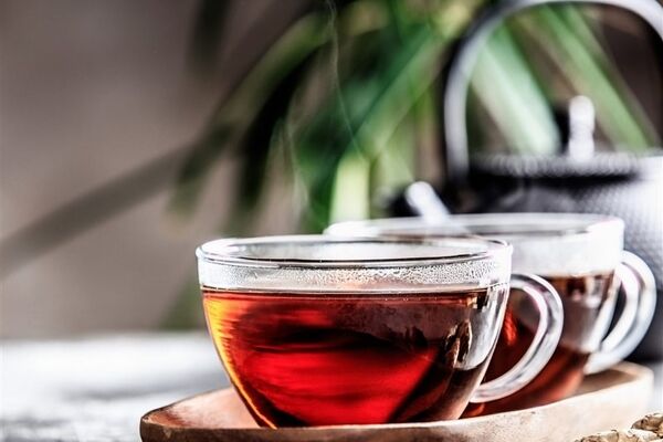 آغاز واردات چای طبق شرط وزیر کشاورزی