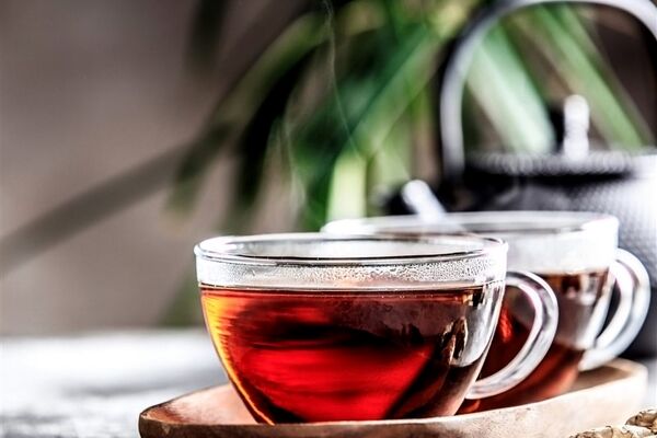 آغاز واردات چای طبق شرط وزیر کشاورزی