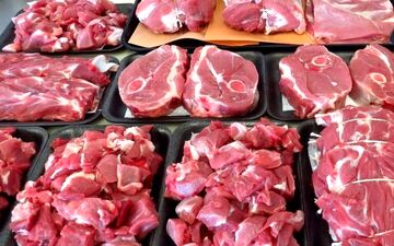 نوسان قیمت دام زنده در کانال ۵۰۰هزار تومان/ گوشت قرمز گران‌تر می‌شود؟