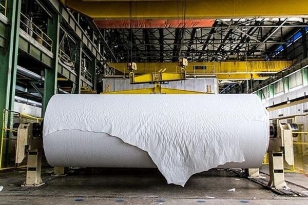 حباب قیمتی سنگین در بازار کاغذ 