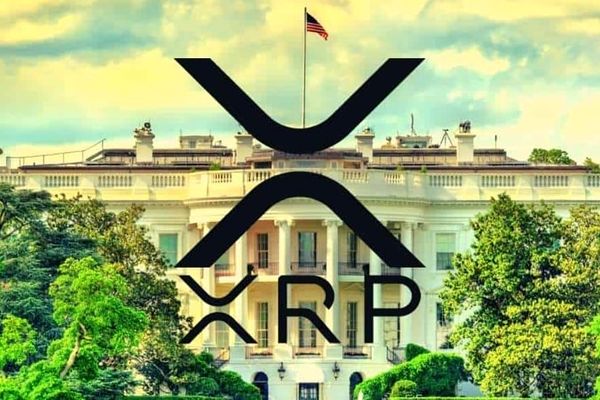 واکنش جامعه کریپتو به جابه‌جایی ۶۰ میلیون XRP از سوی ریپل