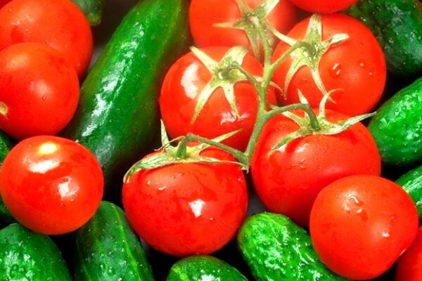 نوسان شدید قیمت خیار و گوجه فرنگی در بازار 