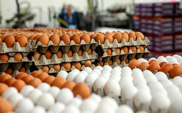 لغو ممنوعیت صادرات تخم‌مرغ/ قیمت‌ها نجومی می‌شود؟