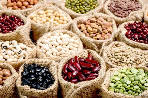 انتقاد از تخصیص سهمیه به واردات حبوبات ارزان‌تر 