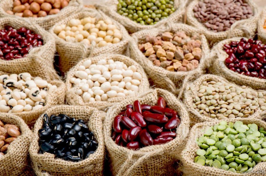 تولید ۶۵۰تا۷۰۰هزار تن حبوبات/تامین کسری ۳۰۰هزار تنی از طریق واردات 